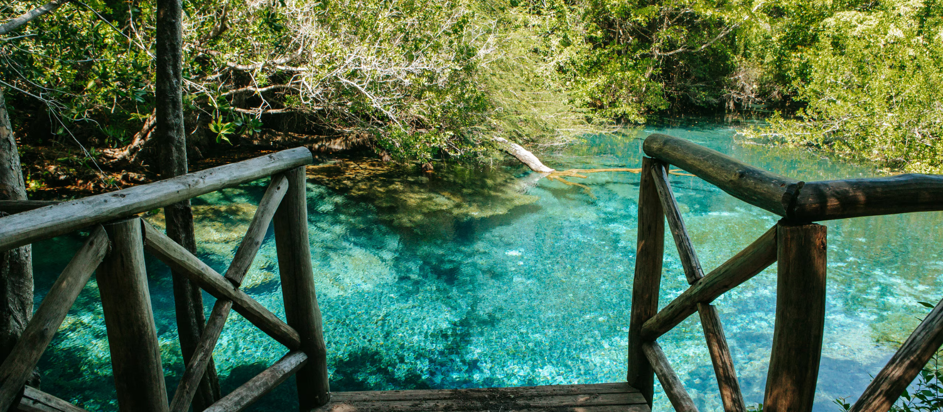 Parque Ecologico Ojos Indigenas