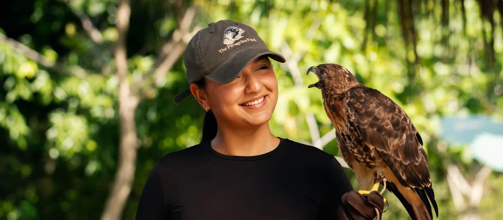 Guía con ave rapaz en el santuario de conservación de Ojos Indígenas