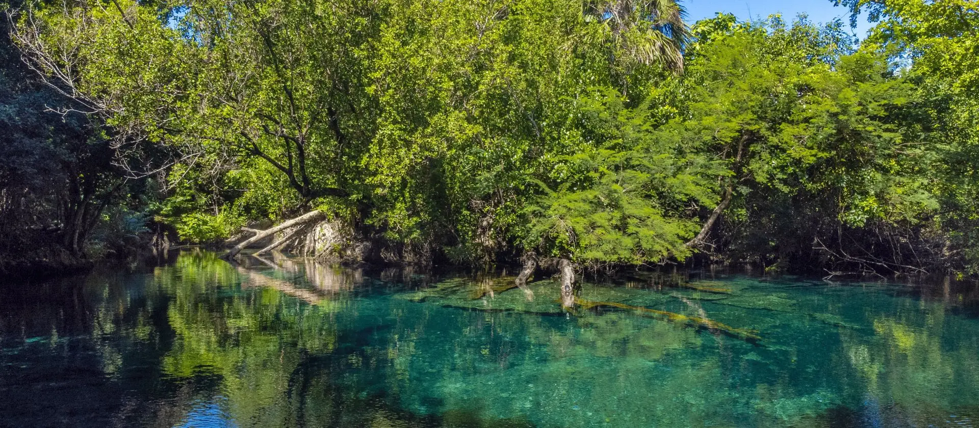 Laguna de aguas turquesas rodeada de manglar en la Reserva Ojos Indígenas
