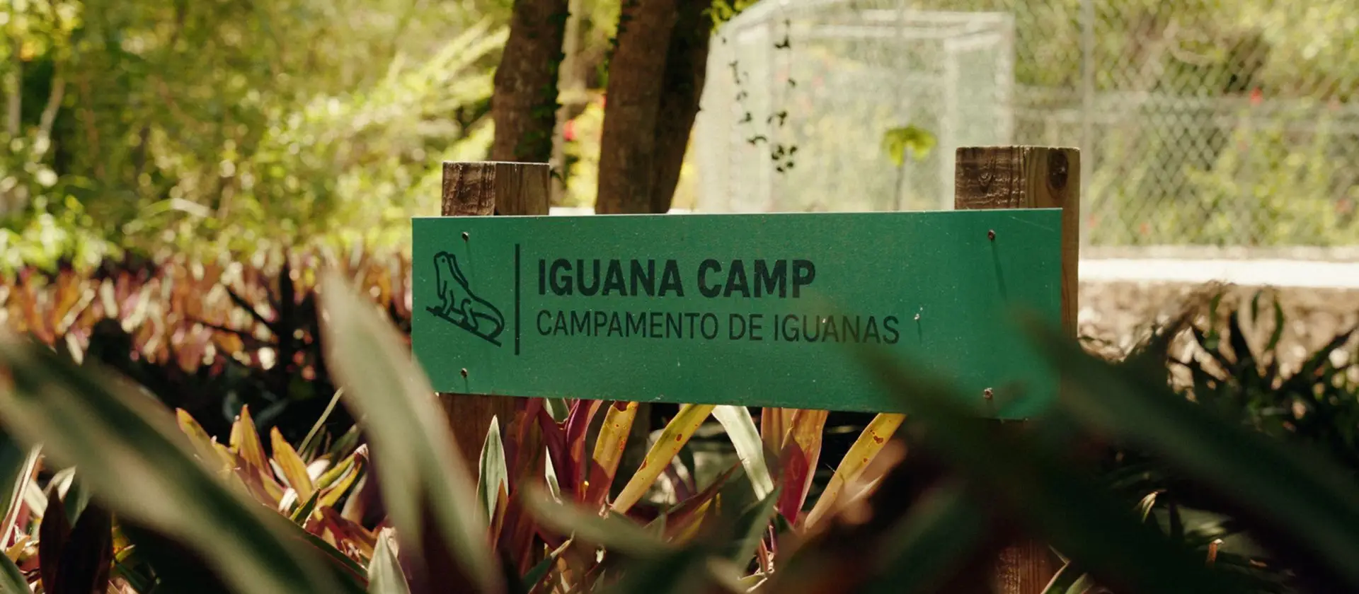 Letrero del Campamento de Iguanas en la Reserva Ojos Indígenas, Punta Cana