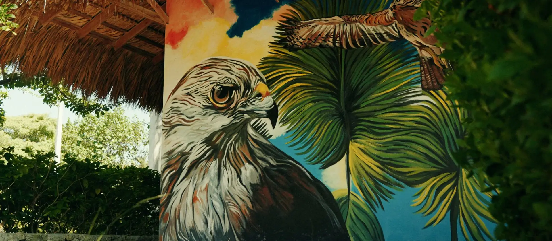Mural artístico de gavilán en cabaña de palma en Ojos Indígenas