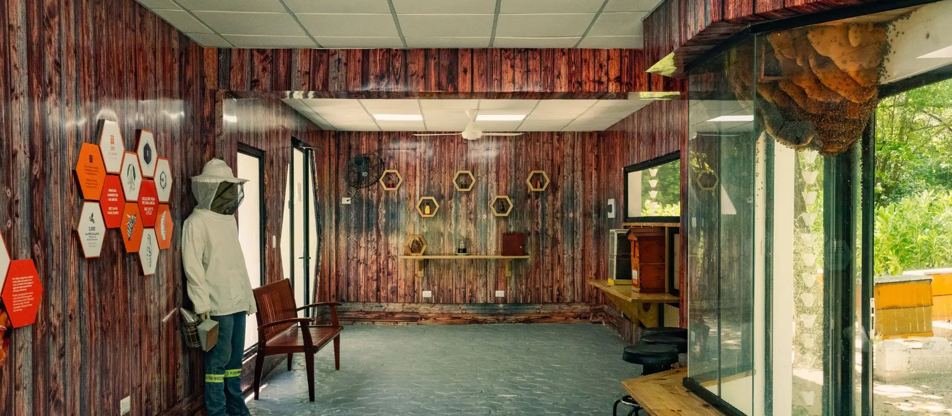 Interior del museo educativo de abejas en la Reserva Ojos Indígenas, Punta Cana