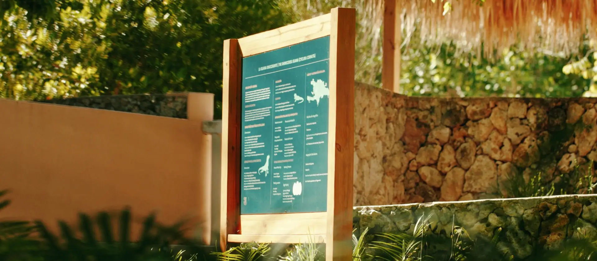 Panel informativo sobre la iguana rinoceronte en Ojos Indígenas