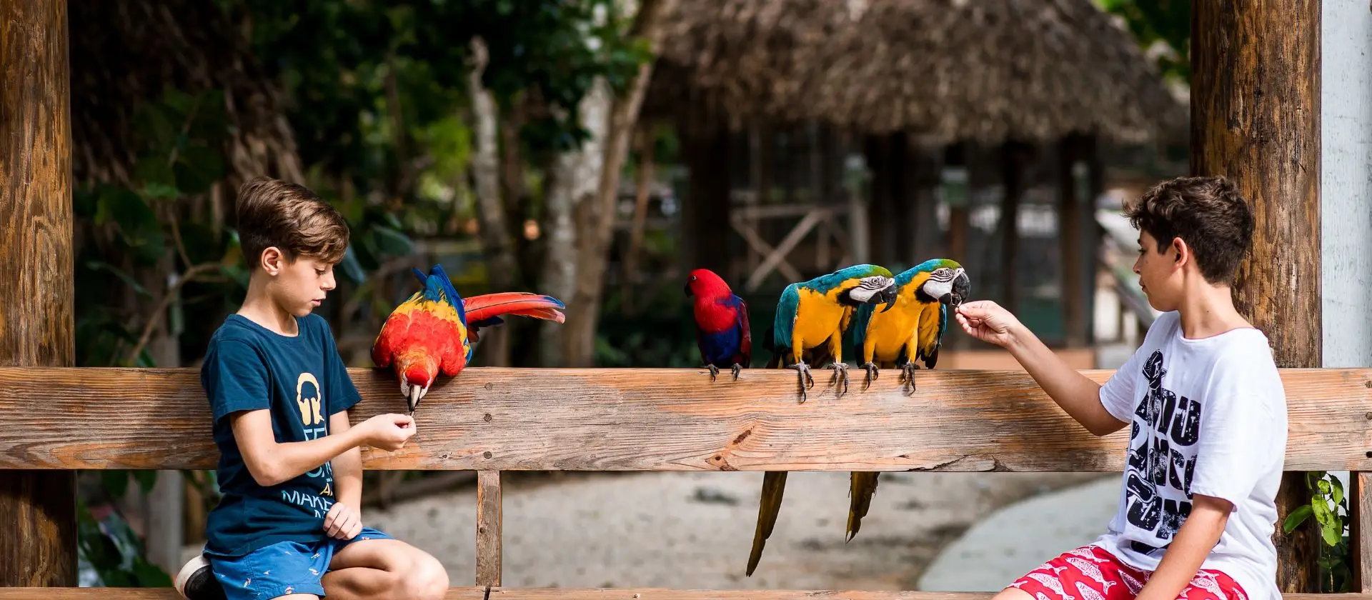 Faunaland parque aventura Cap Cana: niños con guacamayos en área de fauna