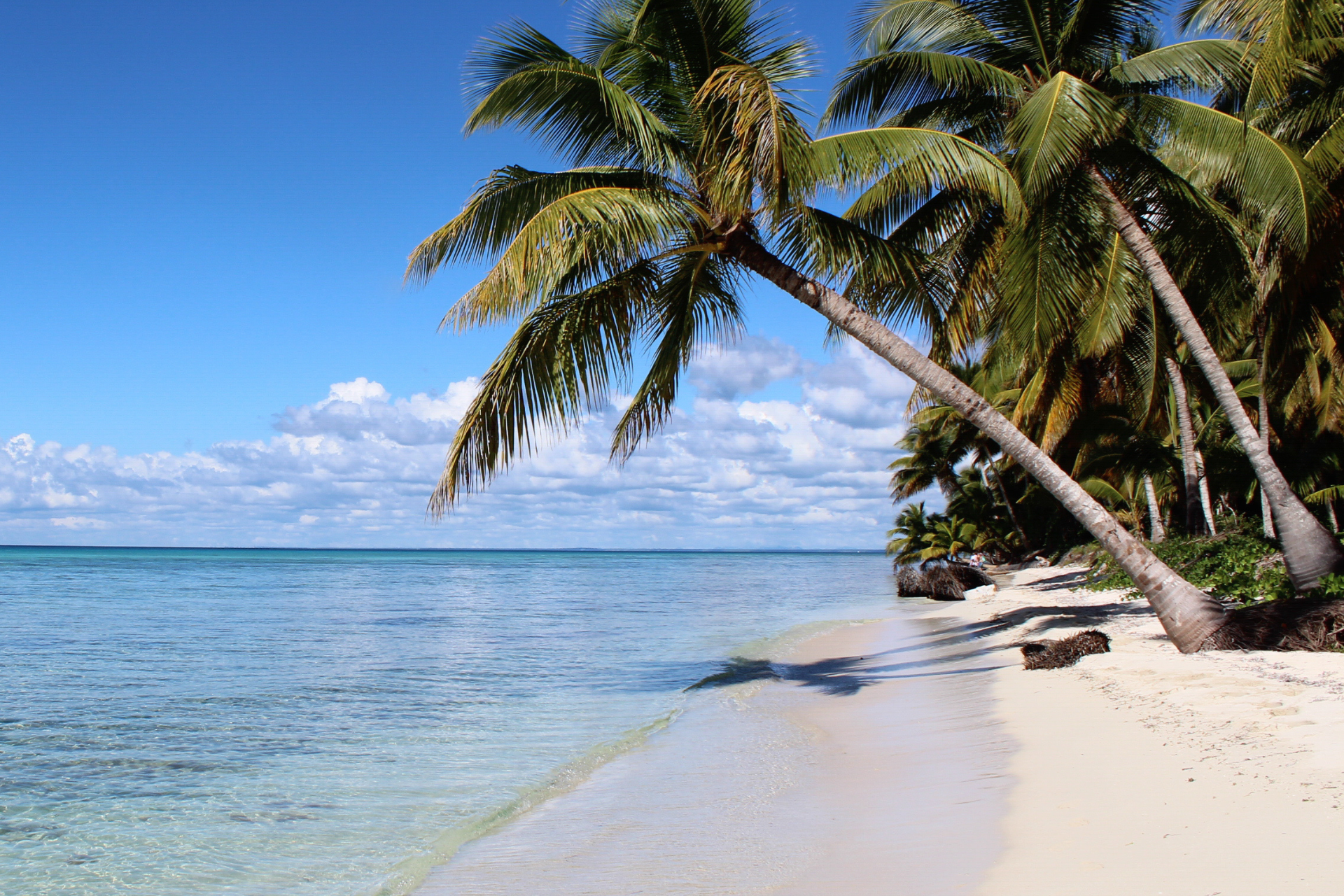 excursiones Isla Saona