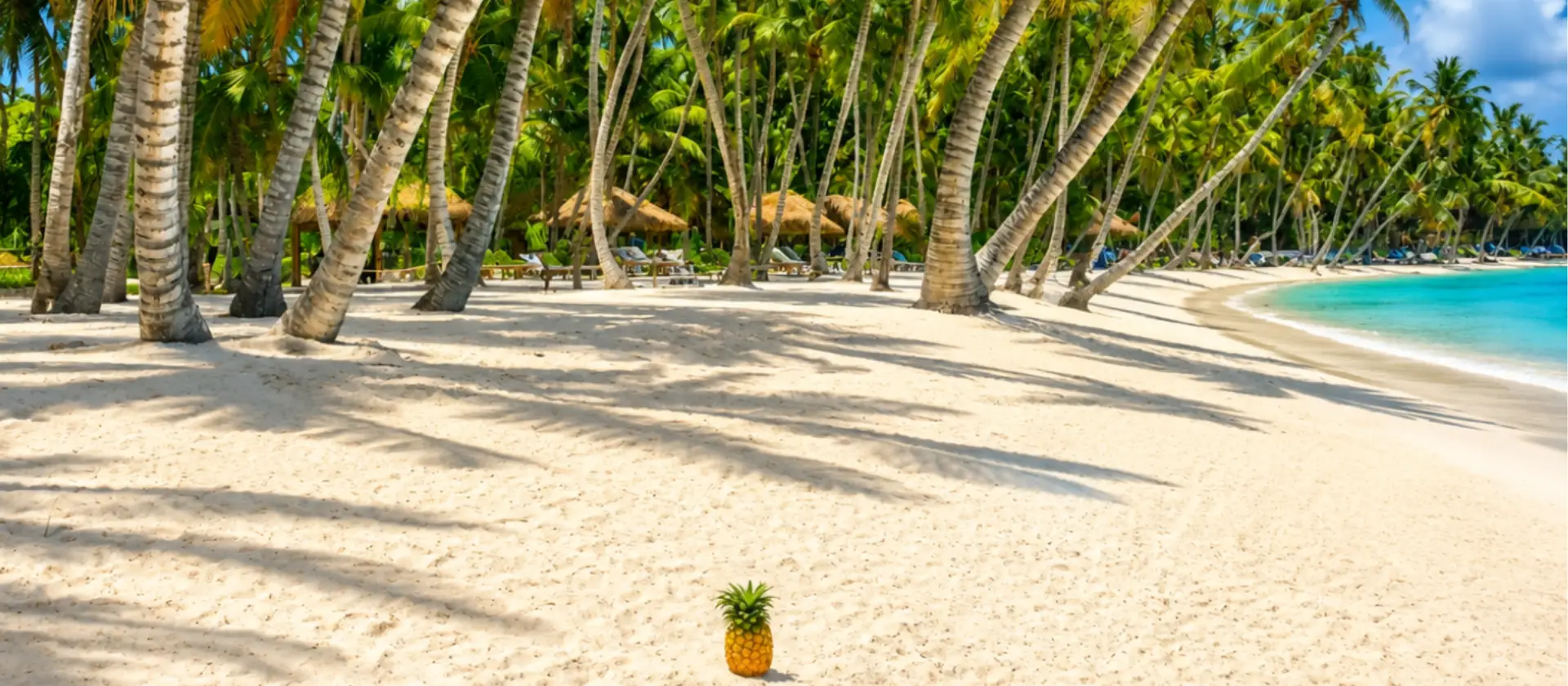 Playa de arena blanca con palmeras en Isla Saona, República Dominicana, durante una excursión desde Punta Cana.