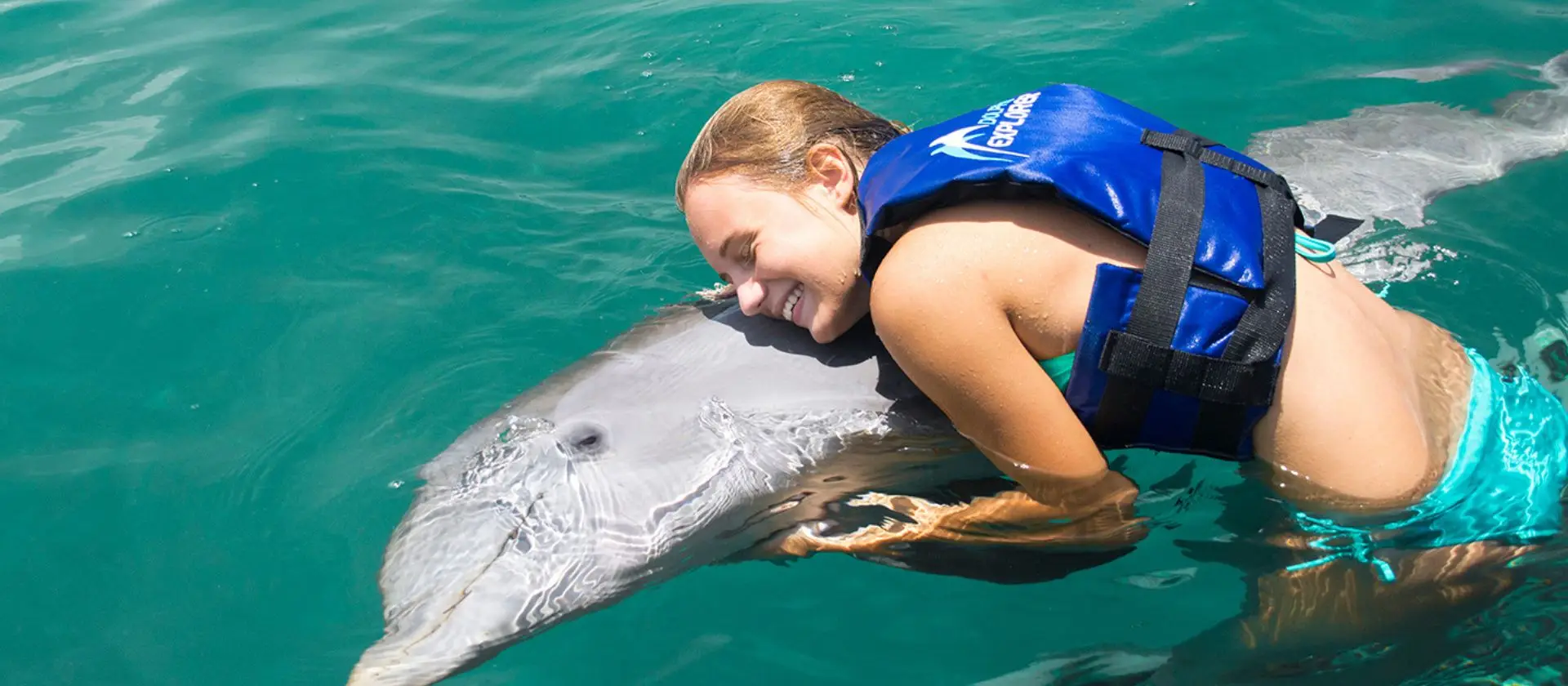 Nado con delfines Punta Cana: interacción bajo el agua océano abierto Bávaro