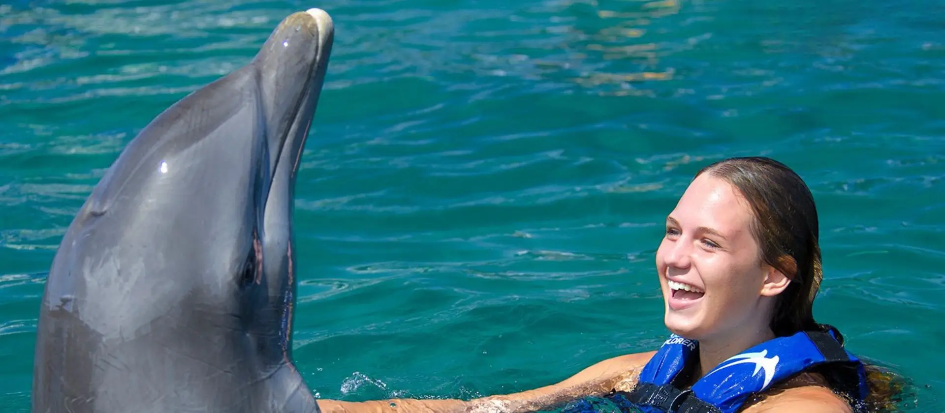 Programa Excellence nado con delfines Punta Cana: footpush en el Caribe