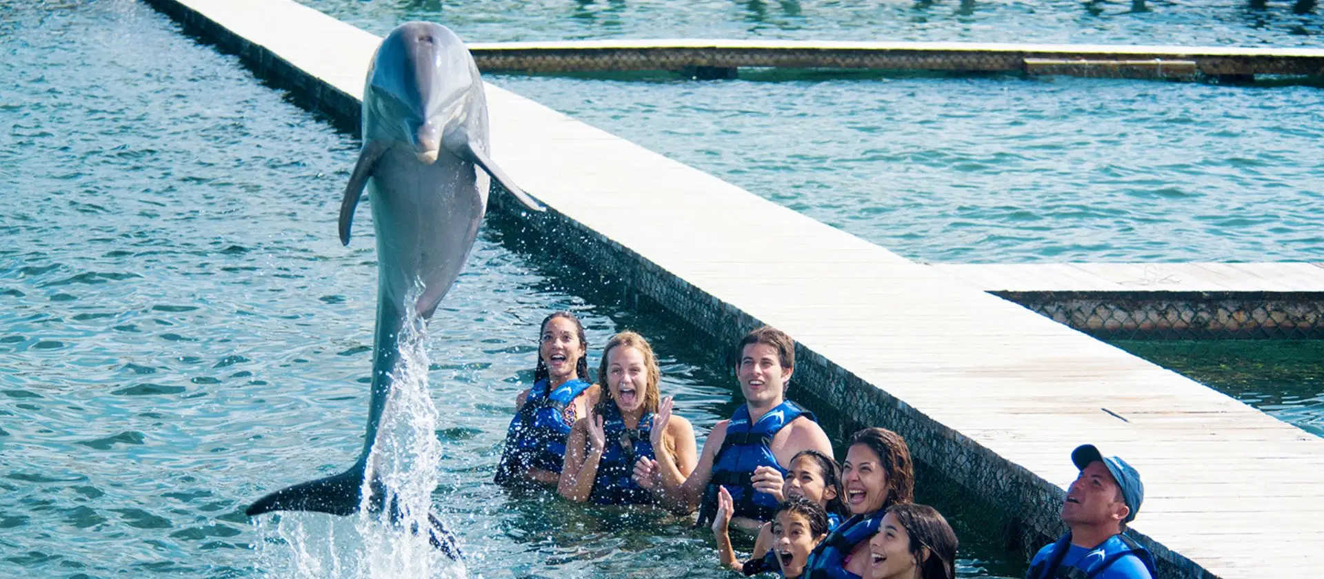 Programa Funtastic nado con delfines Punta Cana: grupo en el océano natural