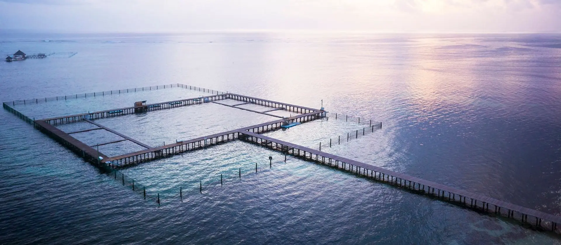 Parque nado con delfines Punta Cana: instalaciones en el océano abierto