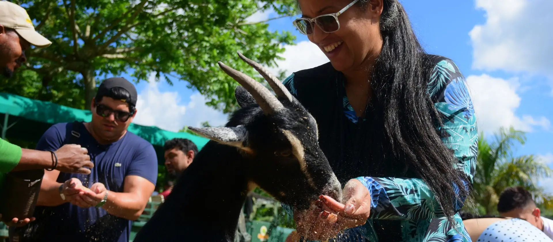 Turista alimentando cabra en el área de granja de La Hacienda Park